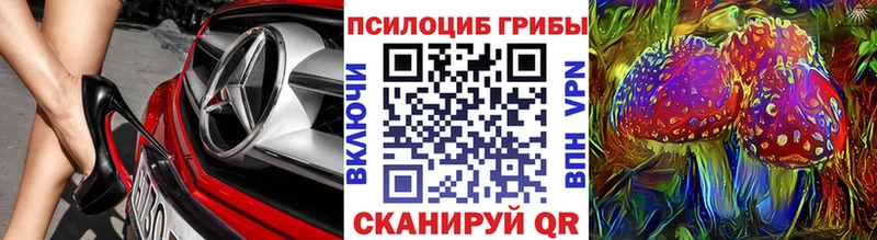 Галлюциногенные грибы мухоморы  блэк спрут tor  Красный Кут 